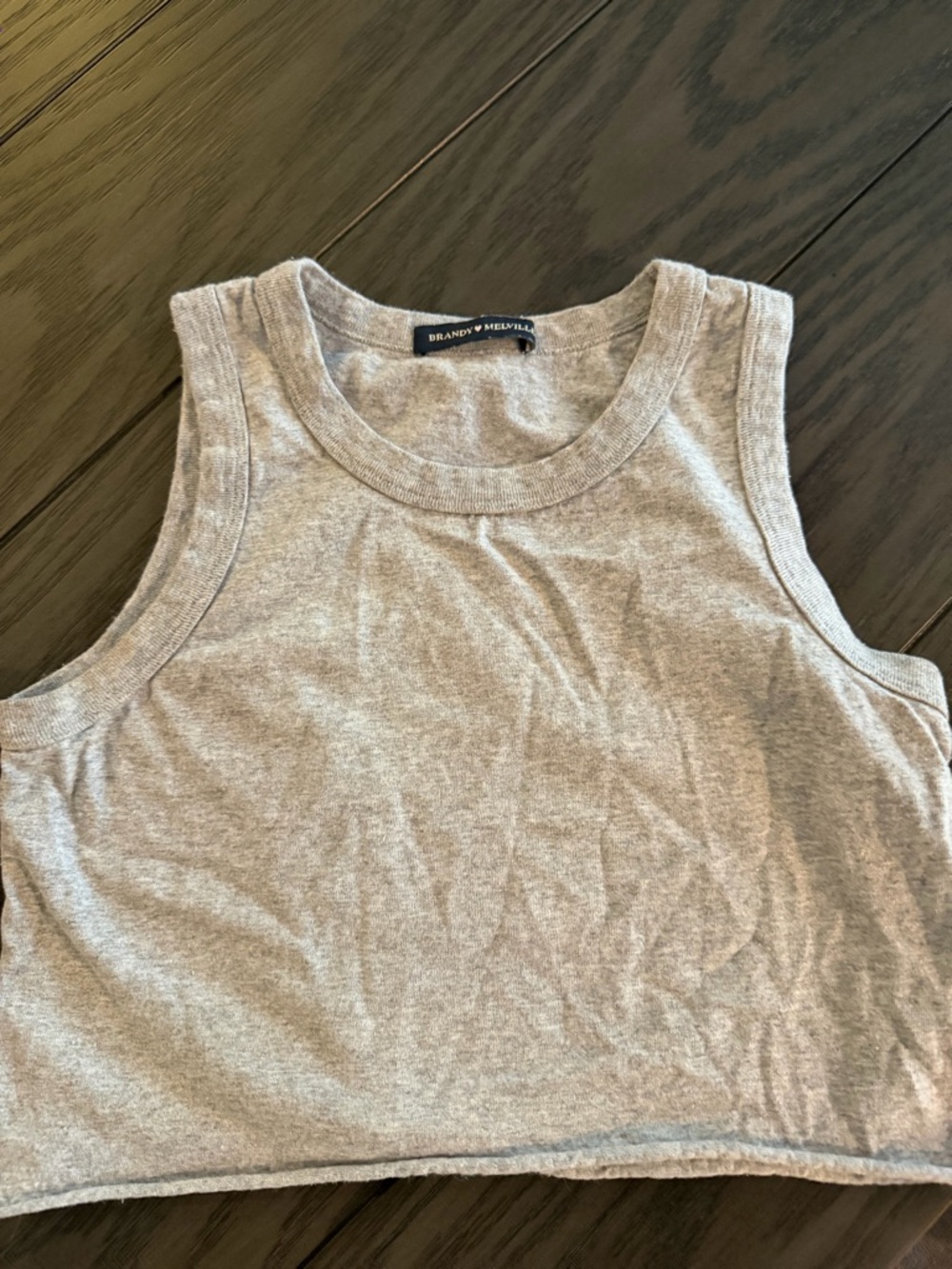 Brandy Melville Gray Crop Tank Top